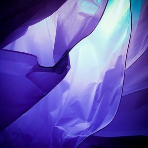 Meet your Posher, Dawson